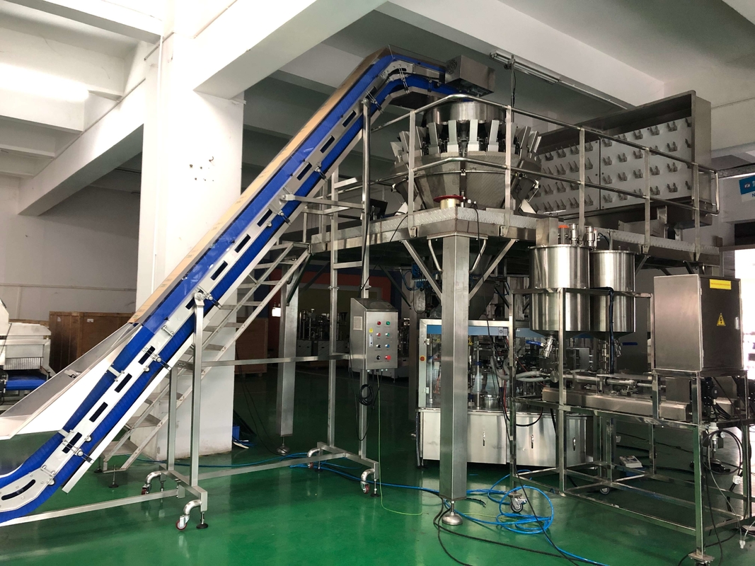 24 casseroles linéaires de double vis de machine à emballer de peseur de Multihead de têtes pour la nourriture fraîche collante huileuse
