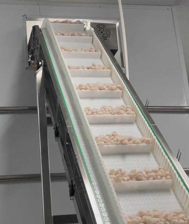 Poids de emballage 200g~1500g de cible de système d'atelier glacial de crevette de machine à emballer de peseur de solides solubles 304