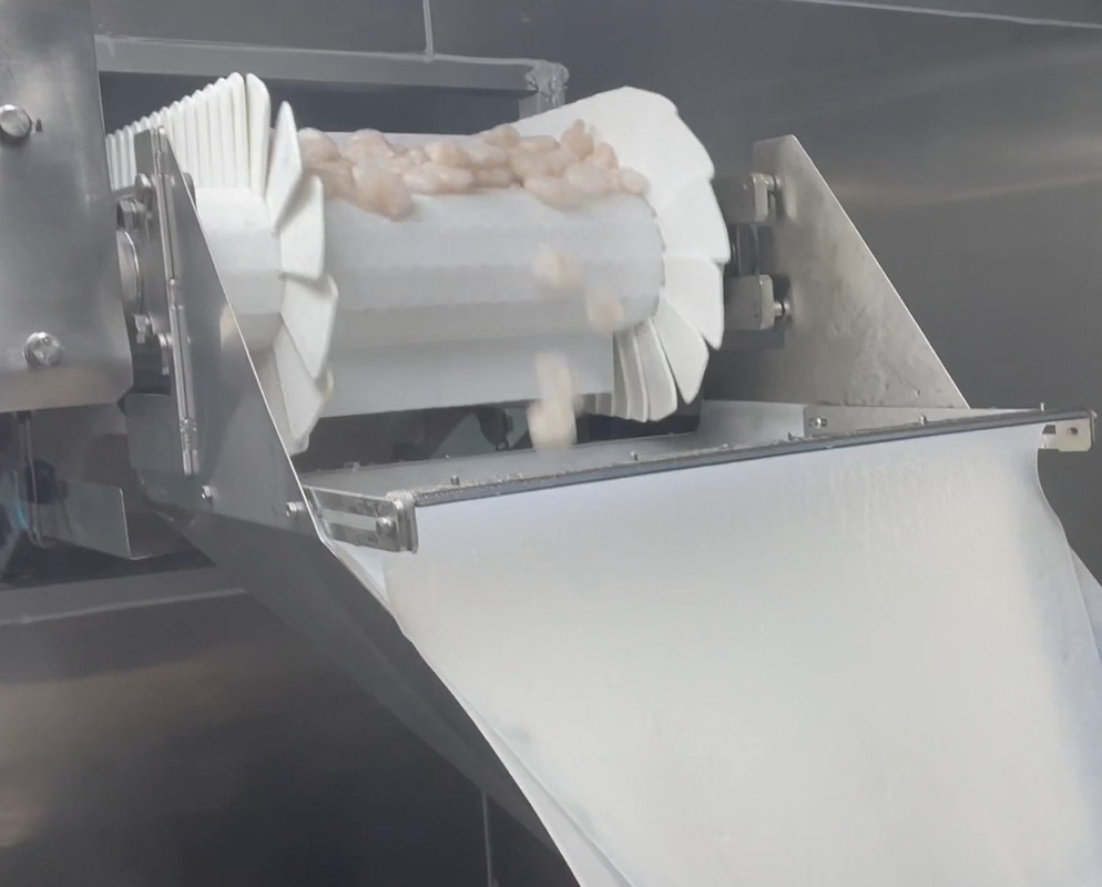 Poids de emballage 200g~1500g de cible de système d'atelier glacial de crevette de machine à emballer de peseur de solides solubles 304