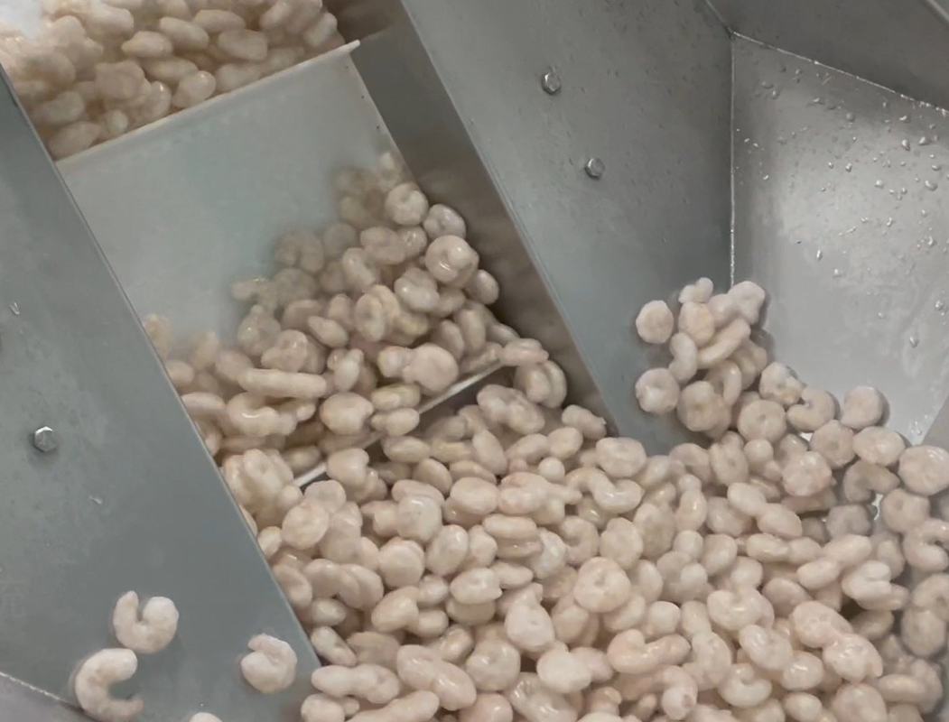Poids de emballage 200g~1500g de cible de système d'atelier glacial de crevette de machine à emballer de peseur de solides solubles 304