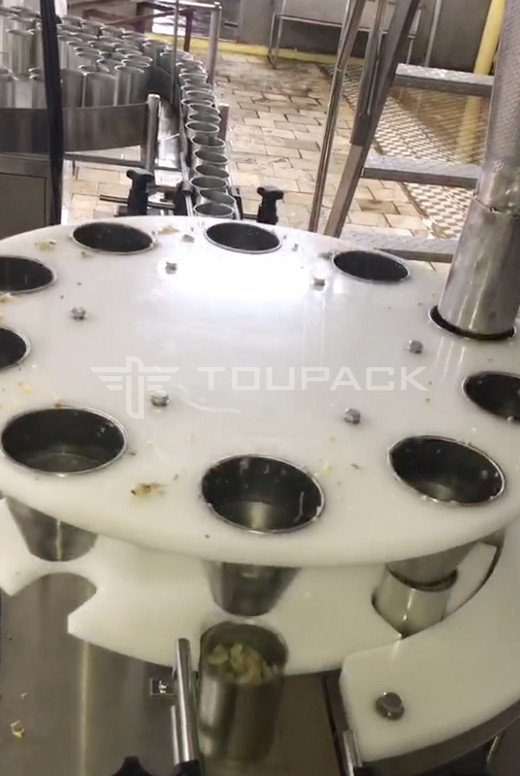 Machine de remplissage et d'étanchéité automatique pour les canettes en fer pour bouteille 10-500g de viande de limace en conserve