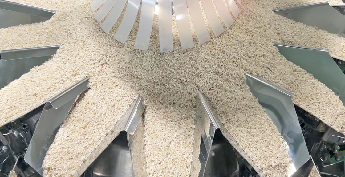 14 seaux Automatique à plusieurs têtes Pesanteur 1kg 2kg 5L Céréales Alimentation Céréales machine à emballer des sacs de riz