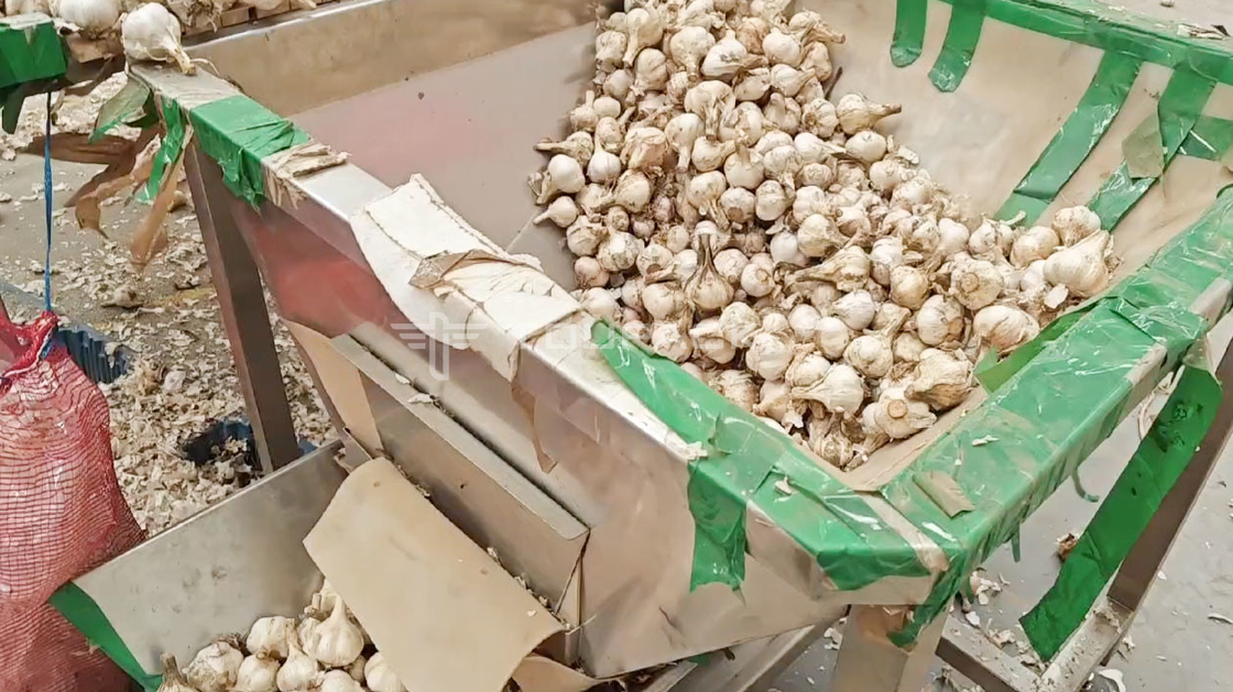 OEM machine à peser automatique Pouch Bean Sprout Coriandre Pommes de terre Ail Bébé Moutarde emballage machine