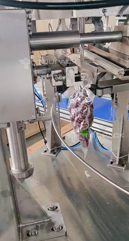 Machine automatique de remplissage et d'étanchéité de sacs rotatifs pour Doypack Préfabriqué Stand Up Pouch Jujube rouge