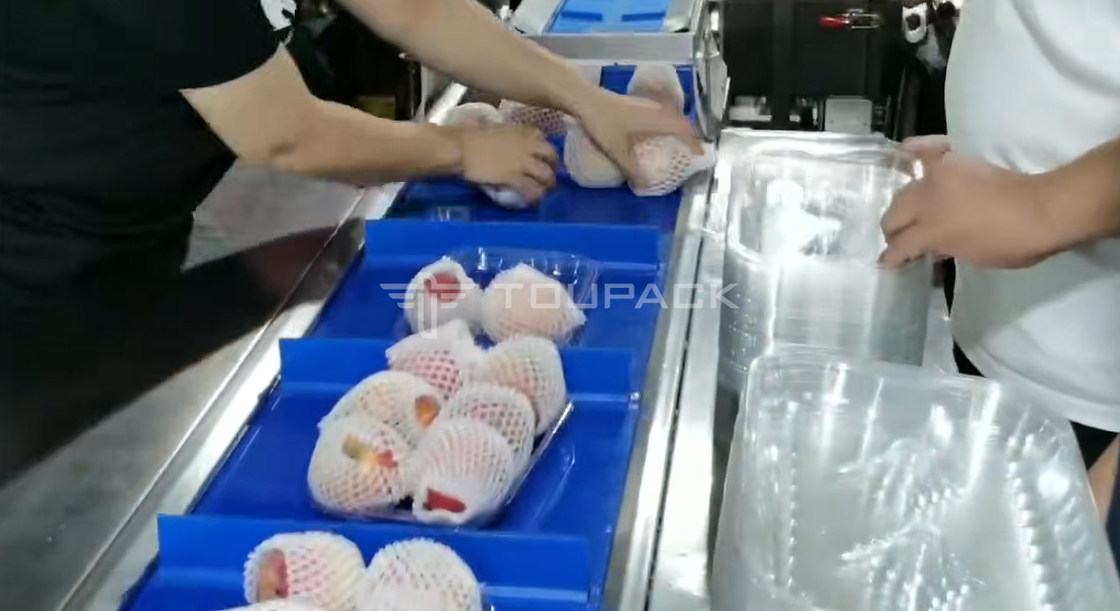 Machine d'emballage de rouleaux d'oreillers Combinaison de poids de poire et de pomme Balance combinée de fruits Peseuse combinée Machine d'emballage de haute précision
