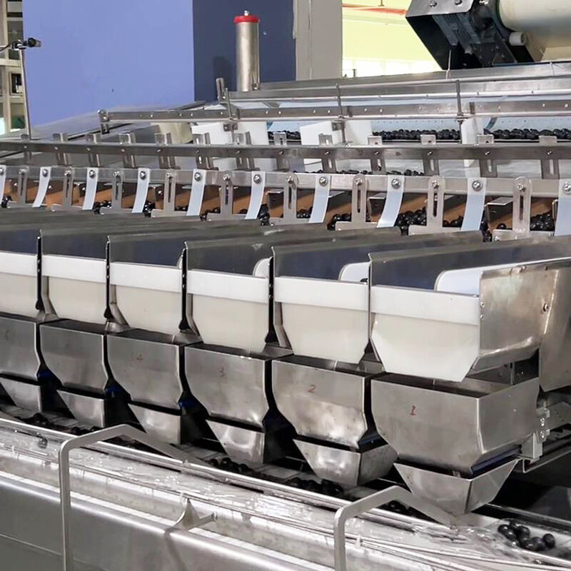 Auto Blueberry Frozen Vege Salad Vegetable Packing Machine Cherry Tomatoes Vegetable Weighing And Packing Machine