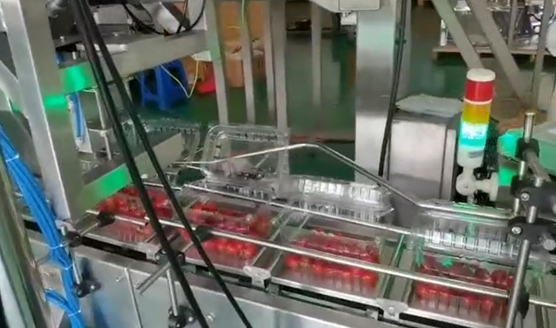 Pesage de peseur de SUS304 Multihead et système de conditionnement automatiques pour Cherry Frozen Fruits In Boxes