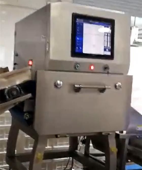 1 détecteur de Microsievert/H X Ray Food Inspection Systems SUS304 pour Chips Nuts