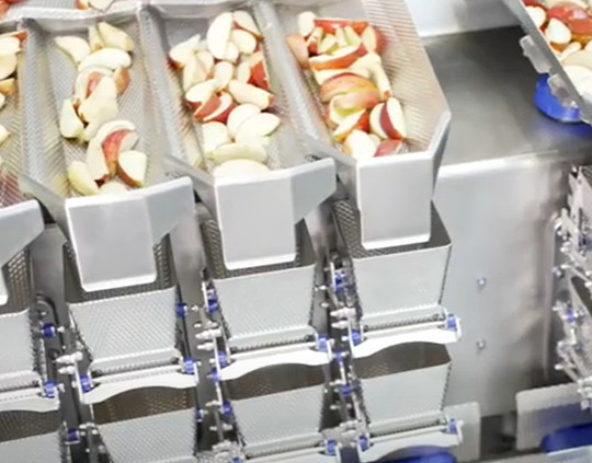 Peseur principal de la combinaison 8 pour les sacs cuits frais du produit carné 30/minute