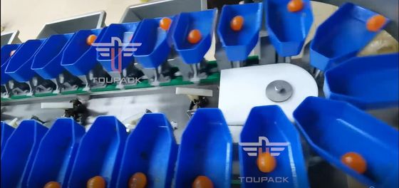 Trieuse de poids circulaire multi de catégorie d'écran tactile pour des fruits de poissons de jaune