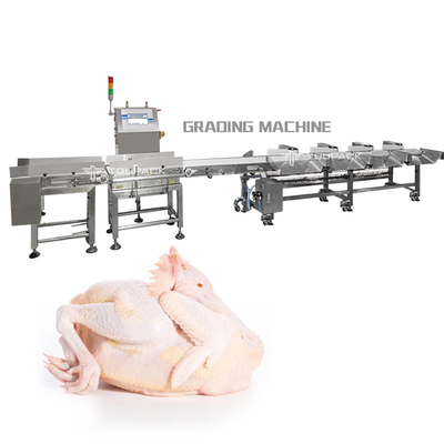 Machine d'évaluation entière de viande de poids de PLC de poulet automatique de trieuse
