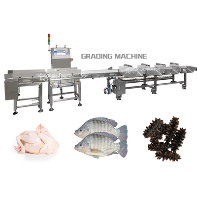 SUS trieuse de 316 poids pour des légumes fruits de poissons de fruits de mer