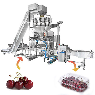 Fraise Tray Packing Machine de cerises d'épinards de chou frisé de machine à emballer de légume fruit de fruit frais de bloc supérieur