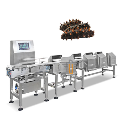 Machine automatique de trieuse de niveleuse de bande de conveyeur de trieuse de poids de Trepang de crevette de poissons