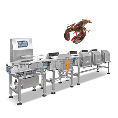 Machine d'évaluation australienne de grande précision de niveau du niveau 6 de la trieuse 2 de poids de homard