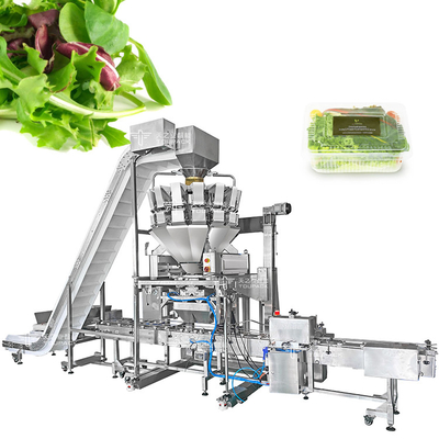 Machine d'emballage de fruits et légumes de 14 seaux avec pesage multi-tête