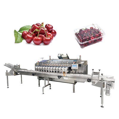 Full Automatic Blueberry Packaging Line With Box Dispenser Filler Capper 
