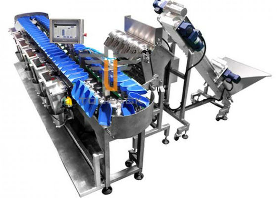Trieuse de poids de machine de conditionnement de fruits et légumes de 300WPM 1000g