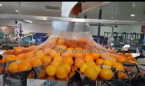 Machine de conditionnement orange automatique de fruits et légumes avec le filet