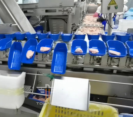 Trieuse de poids principal multi circulaire de sécurité pour des fruits de mer 300 fois/minute