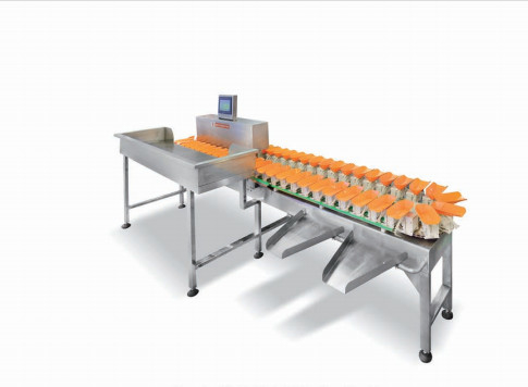 Machine à emballer de peseur d'acier inoxydable Multihead assortissant l'équipement