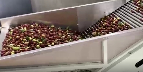Trieuse de jujubes de l'acier au carbone 220V assortissant la chaîne de production
