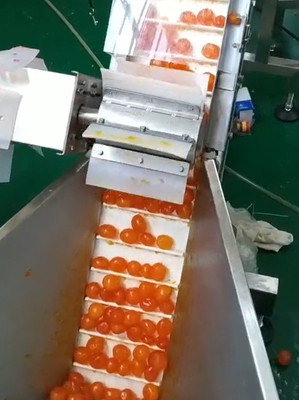 Jaune de emballage sous vide de machine de peseur multi assortissant et donnant le projet