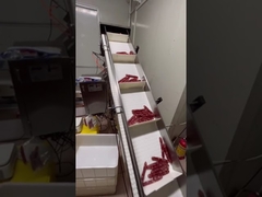 Système de pesage et de convoyage automatique pour saucisses longues, hot-dogs